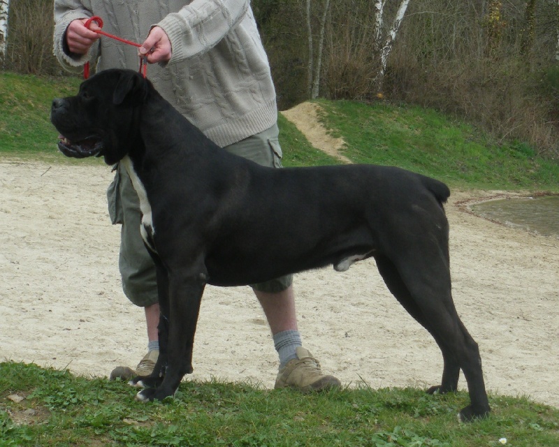 Darko Du Clos des Trois Rivières