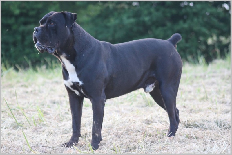 Darko Du Clos des Trois Rivières