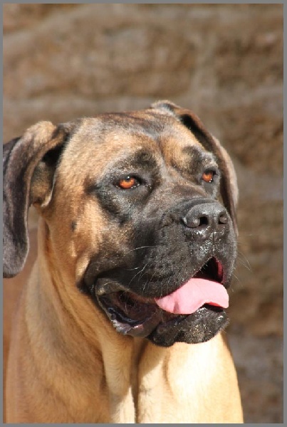 Fantazia du Chemin des Anges